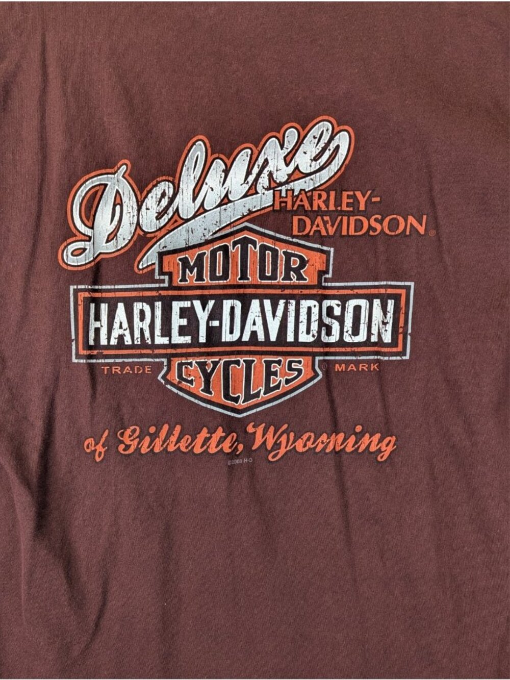 Harley-Davidson Mens Large T Shirt Sturgis Gillette Wyoming 2009 USA Made